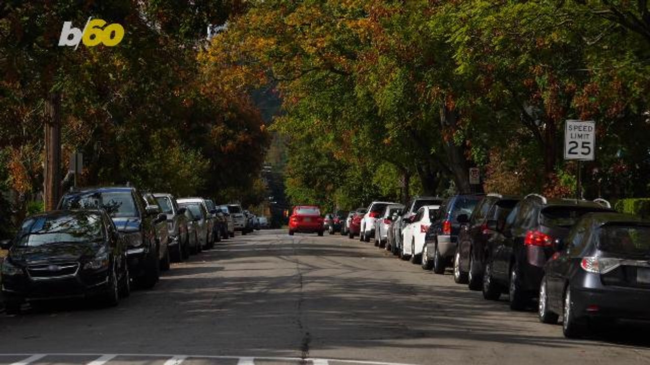 Are Tree Branches Causing Problems for Uber's Self-Driving Cars?