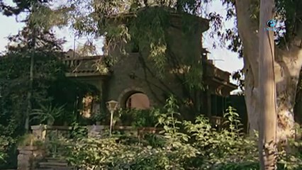 ومن الحب ما قتل 💔: قصة حب مأساوية في الإسكندرية بعد وفاة الزوج