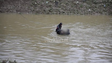 Dy viktima nga aksidentet
