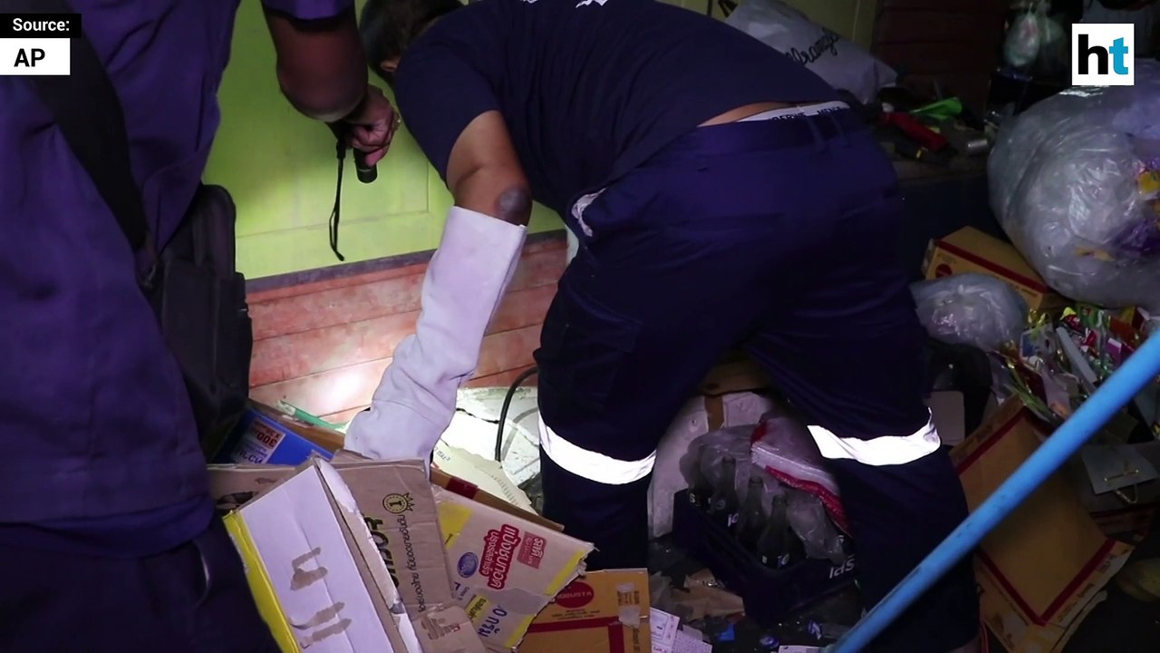 Rescuers find python under man's home after cats go missing