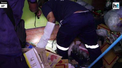 Rescuers find python under man's home after cats go missing