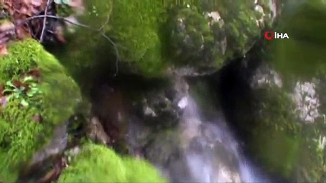 Dağdan akan sular mesire alanını su altında bıraktı