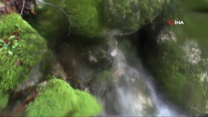 Dağdan Akan Sular Mesire Alanını Su Altında Bıraktı