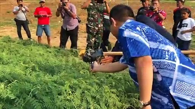 Politikus Senior PAN Geser ke DPD RI