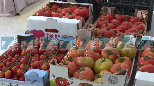 ULEN FONDET PER SIGURINE USHQIMORE NE 2019 - News, Lajme - Kanali 7