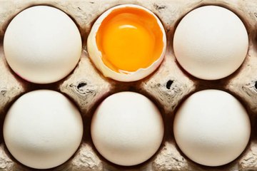 Code des oeufs : Comment savoir si ils sont élevés en plein air, en cage ou bio ?
