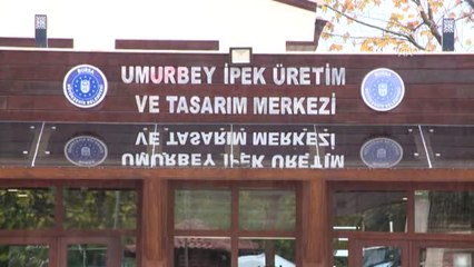 Dağ Köyünden Katar Sarayı'na İpek Halı - Bursa