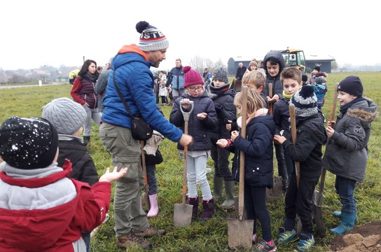 Les écoliers de Dossenheim-sur-Zinsel plantent des arbres pour restaurer un corridor écologique