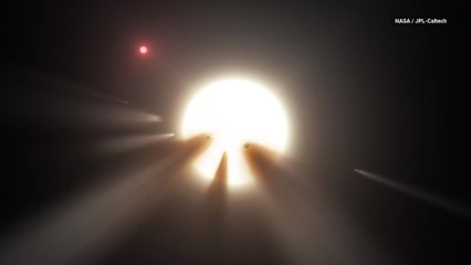 Tabby’s Star 2.0? Scientists Spot Another Mysterious Flickering Star