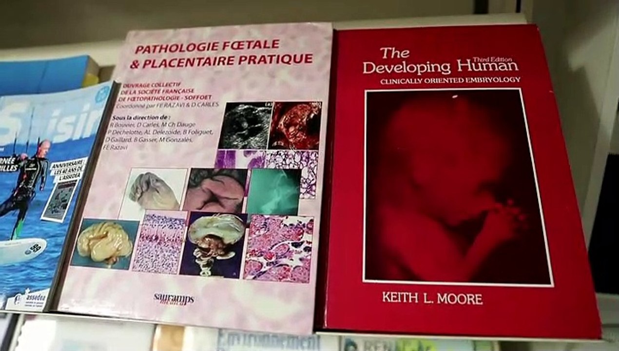 Emmanuelle Amar, directrice du Registre de malformations en Rhône-Alpes