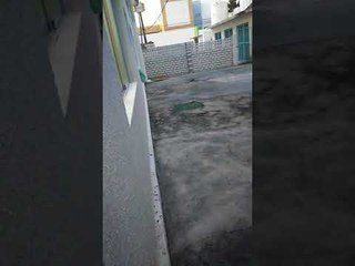 Rato é flagrado no Hospital Escola Doutor Helvio Auto, em Maceió