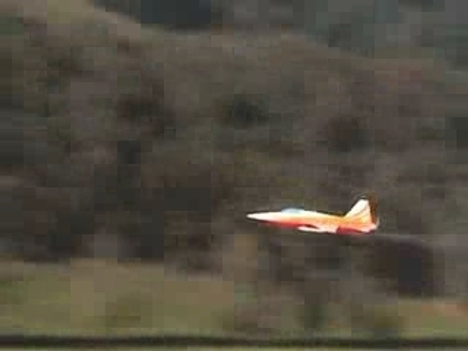 T38 F5 Tiger 03 Steevie WMV 20.11.05