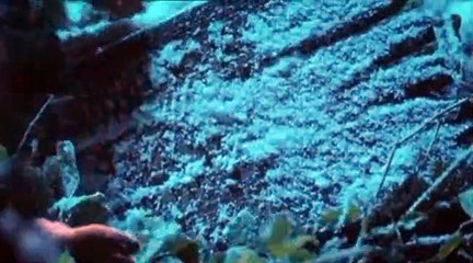 Lark Rise To Candleford S02 E01 Part 02