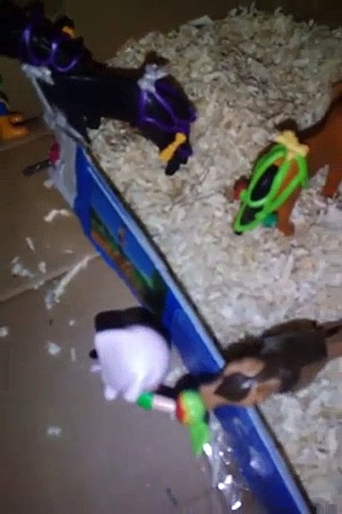 1ère partie de la visite de mon CE playmobil | Fortnite | Fortnite