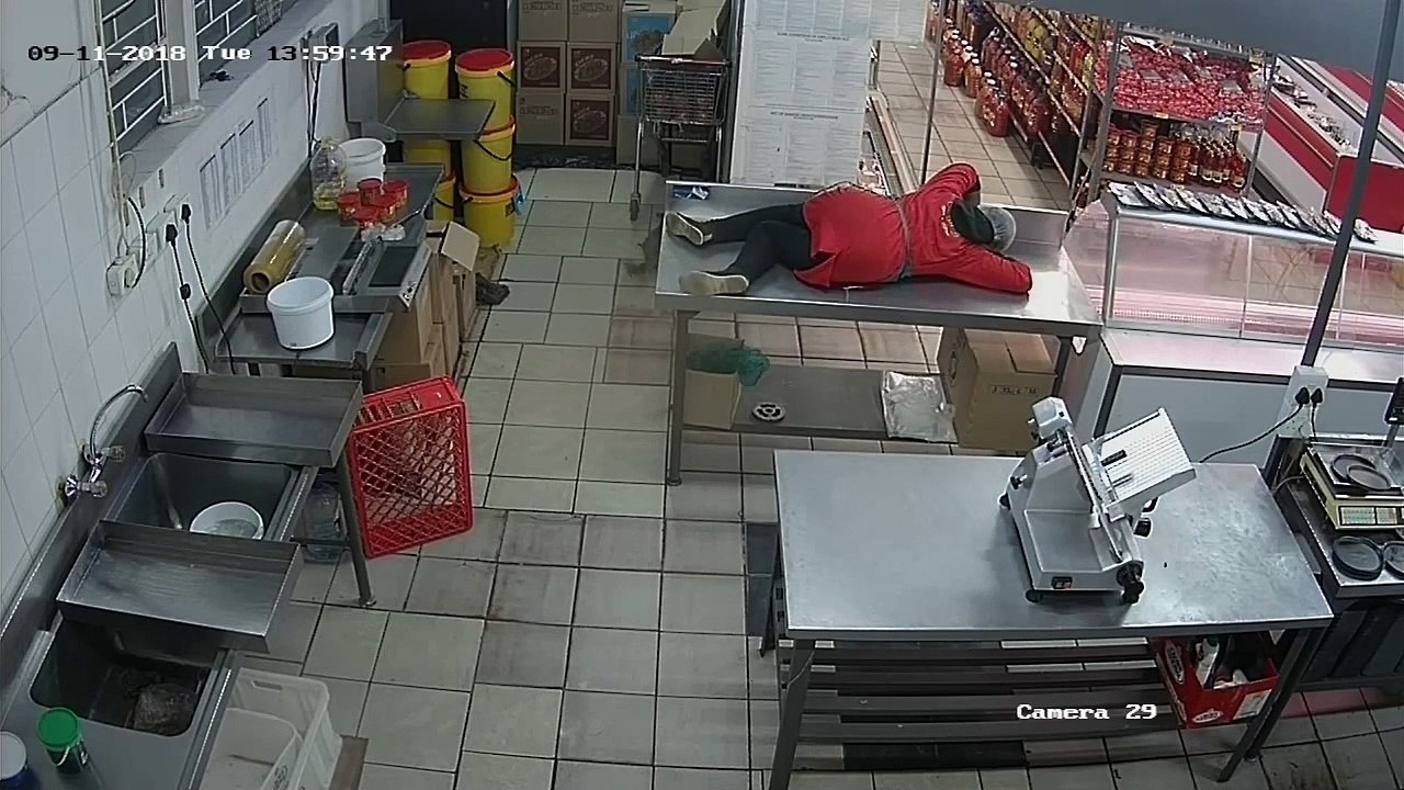 Two Cats Give Worker Quite the Scare