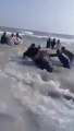 Des touristes poussent une baleine échouée sur la plage et tentent de la remettre à l'eau