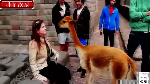 ATTACKS ON HUMANS, ANIMALS LIONS VS CROCODILES AMAZING WILDLIFE ATTACKS. 2018