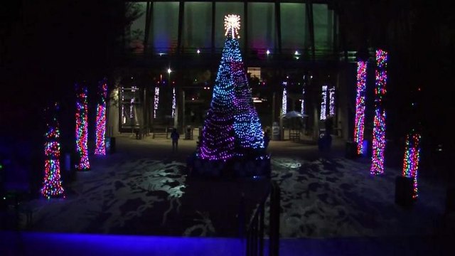 شاهد: لوس أنجلس تكتسي حلة من الأضواء والعروض خلال موسم أعياد الميلاد