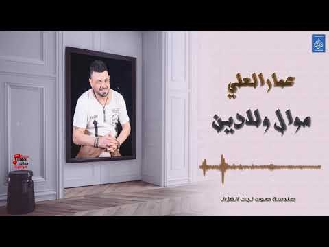 عمار العلي - موال ولادين || أغاني عراقية 2019