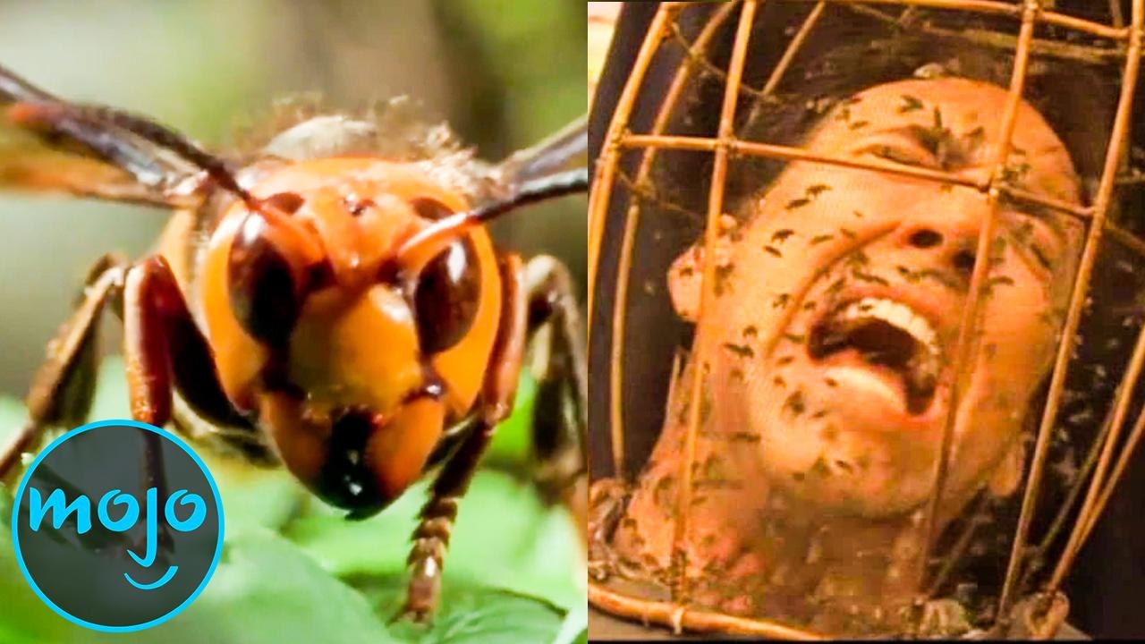 Top 10 Little Known Phobias That Would Make Gre...