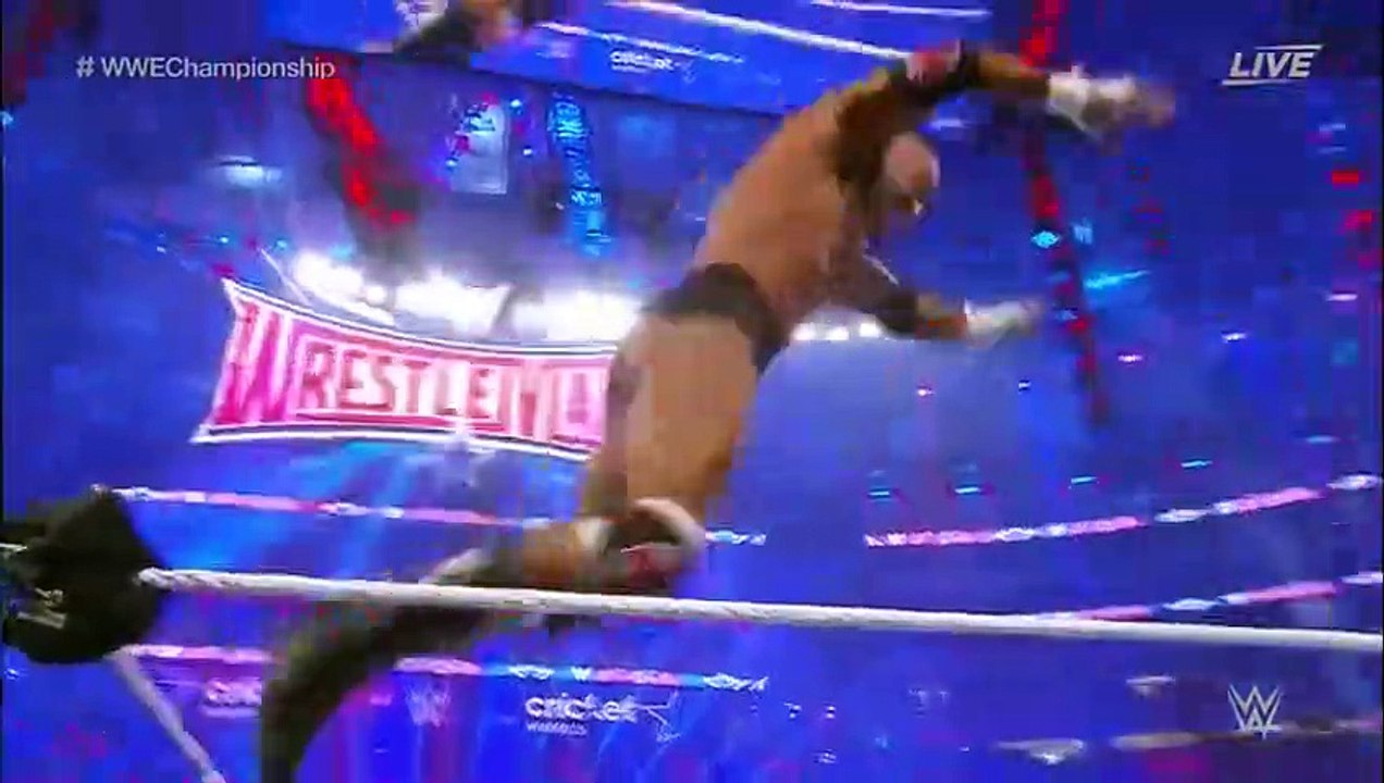 Triple H VS Roman Reigns  WWE World Heavyweight Championship Match   WrestleMania 32 ( 480 X 854 )