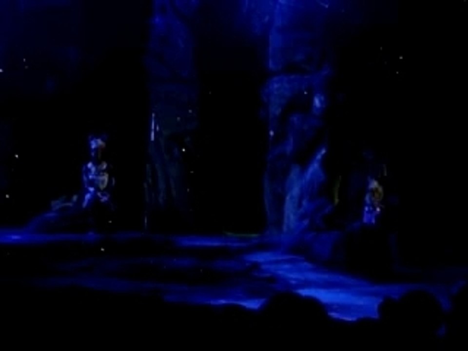 roi Lion: l'amour brille sous les étoiles disneyland