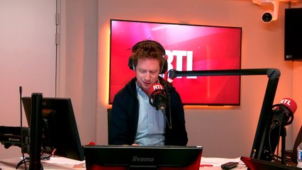 Noël : le sapin Label Rouge, un conifère made in France plus respectueux