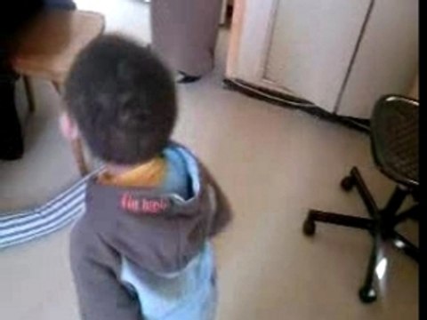 Redha mode tecktonic