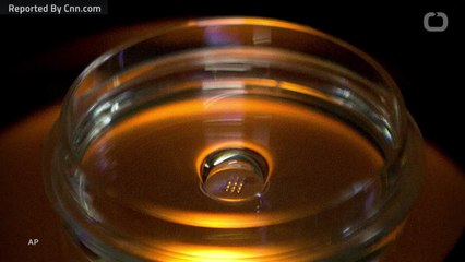 US Professor Investigated For Role In Alleged Genetic Editing Of Babies