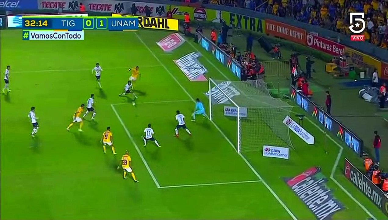 Tigres vs Pumas 2-1 All Goals & Highlights