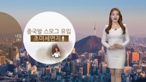 [날씨] 전국 미세먼지 '나쁨'...제주·남부 황사 관측 / YTN