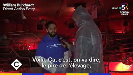 Hugo Clément se rend dans une maternité porcine et est témoin de l'enfer des animaux - Regardez