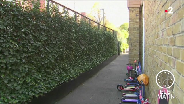 Sans frontières - Des murs végétaux dans les écoles