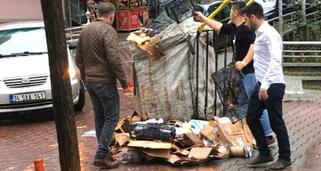 Emniyet Müdürü, Yere Saçılan Atık Kağıtların Toplanması İçin Yardıma Koştu