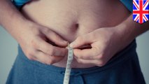 Scientists suggest more brown fat could help fight obesity