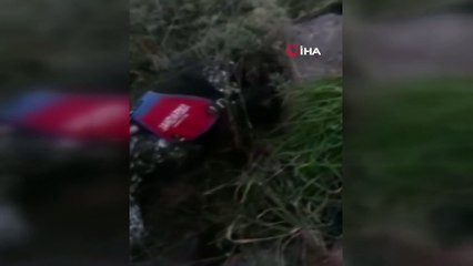 Narkotik köpeği Rüzgar zulalanmış uyuşturucuları buldu: 3 gözaltı