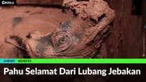 #1MENIT | Pahu Selamat Dari Lubang Jebakan