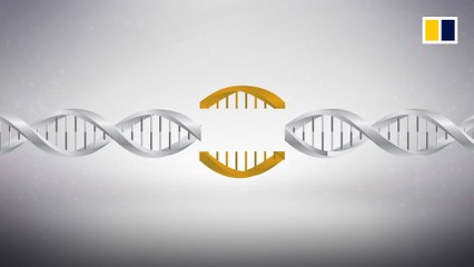 CRISPR gene editing explained