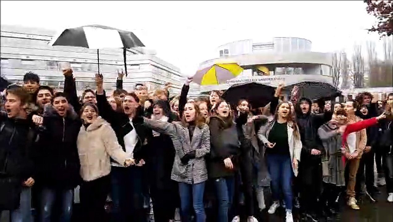 TERRITOIRE DE BELFORT A Belfort, les lycéens du lycée Courbet dans la rue