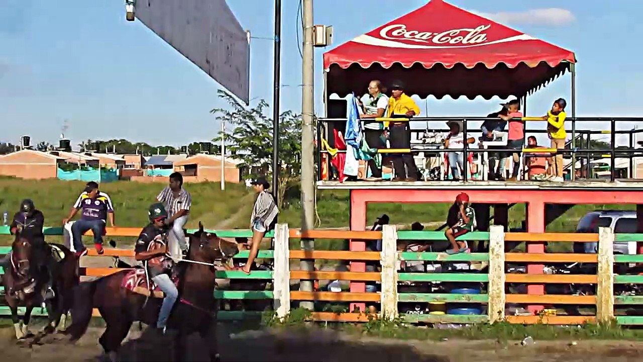 TARDE DE COLEO