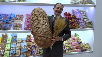 Dünya Helal Zirvesi devam ediyor - İSTANBUL