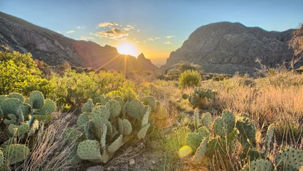 Best Southern Road Trips Across the U.S.