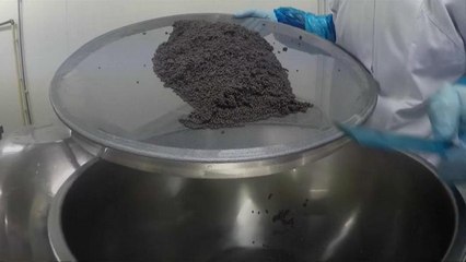 Belgian caviar producers prepare for bumper Christmas period