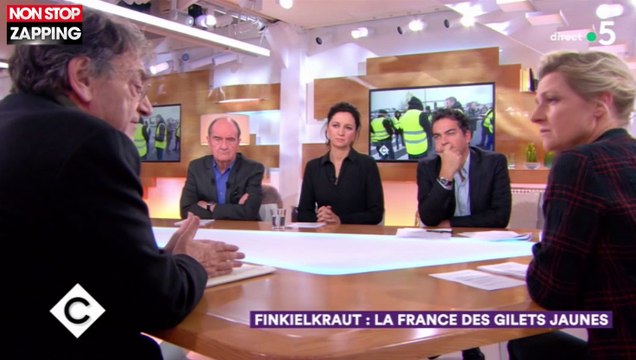 C à vous : Alain Finkielkraut défend les Gilets Jaunes (vidéo)