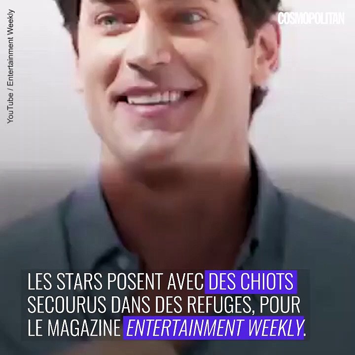 Les stars sexy posent avec des chiots pour la bonne cause