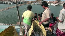 صيادو الحديدة بين خطر الموت جوعا أو قصفا في البحر