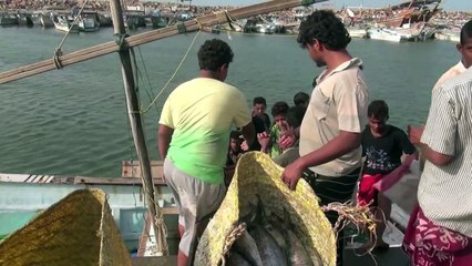 صيادو الحديدة بين خطر الموت جوعا أو قصفا في البحر