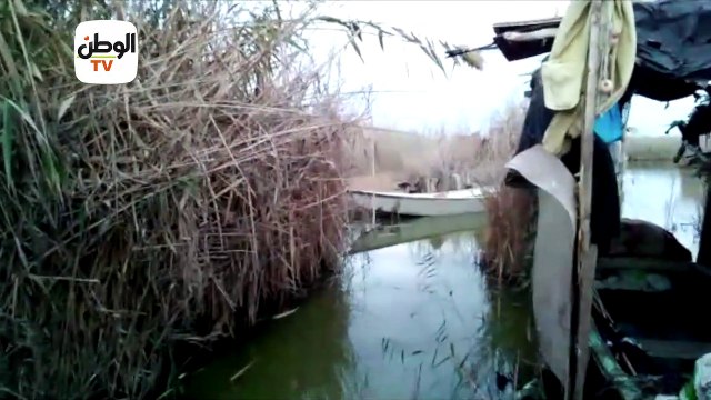 أهالي السيالة في دمياط يشتكون سيطرة العصابات على أراضي بحيرة المنزلة