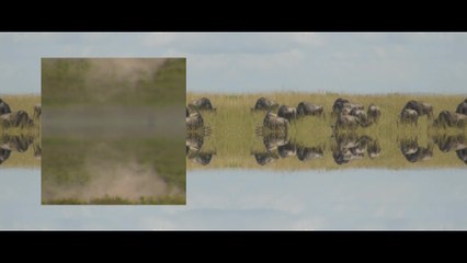 Mumford & Sons - Mumford & Sons And National Geograpic Present: Picture You / Darkness Visible
