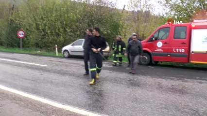 Ekipler yaralı domuz için seferber oldu
